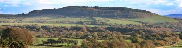 Forest of Bowland View